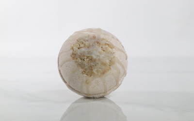 Bath Bombs